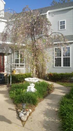 Apartamento Highland Hideaway - Frontenac Room