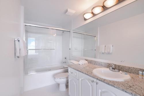 Pet Friendly Apartments In Sunny Isles