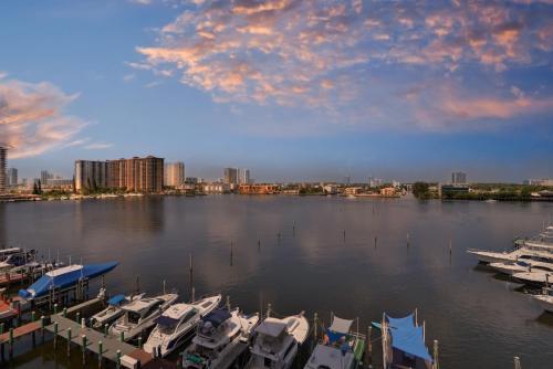 Pet Friendly Apartments In Sunny Isles