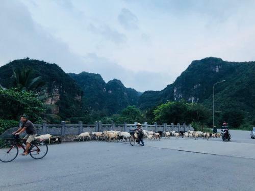 Ninh Binh Brother's Homestay