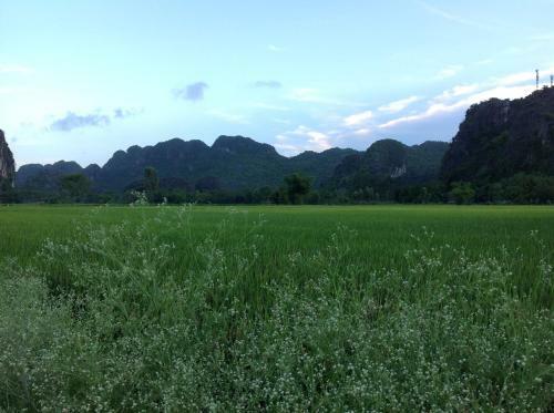 Tam Coc Eco House