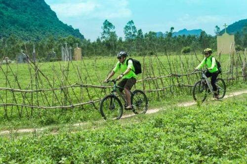 Hotel Phong Nha Green Garden Home