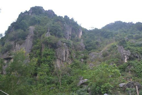 Phong Nha Homestay