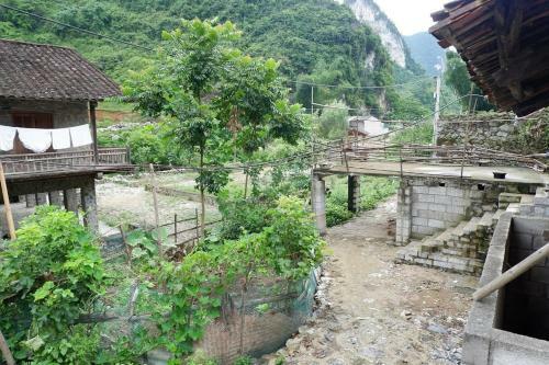Y?n Nhi B?n Gi?c Homestay