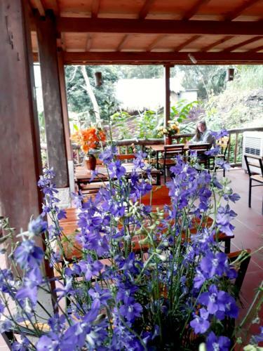 Little Mai Chau Home Stay