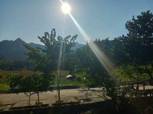 Truong Huy Homestay