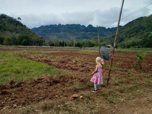 Truong Huy Homestay
