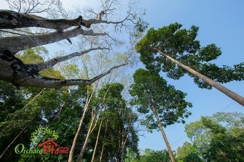 Agroturismo Orchard Home Nam Cat Tien