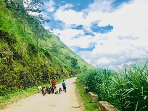 Du Gia Homestay