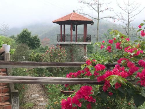 Villa T? Vi?n Xanh Homestay