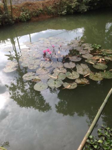 Hung Mai Homestay