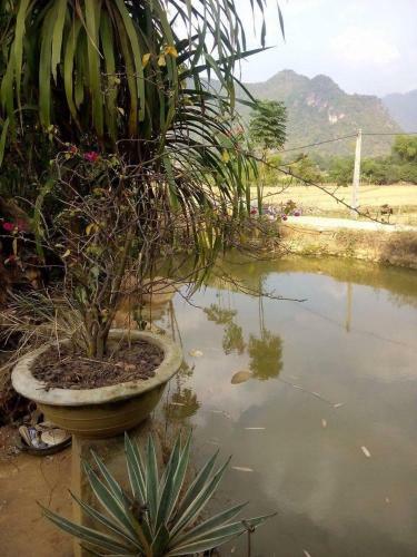 Hung Mai Homestay