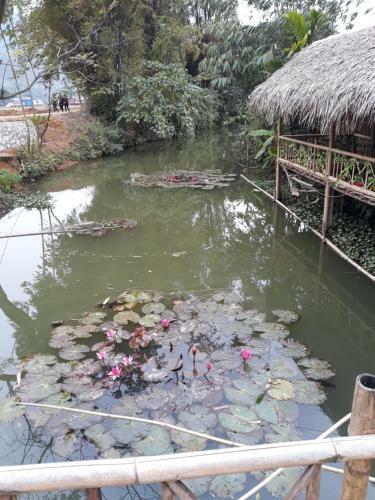 Hung Mai Homestay