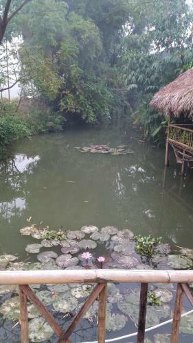 Hung Mai Homestay
