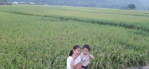 Hung Mai Homestay