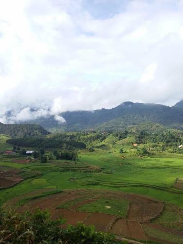 L� ?�nh Homestay