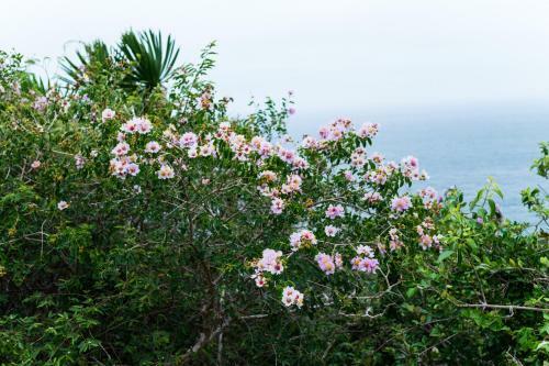 Apartamento Lily Homestay Phan Rang - Seaview Appartment