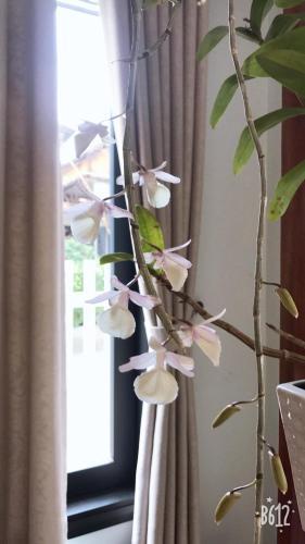 Bed & Breakfast Hue Homestay Riverside
