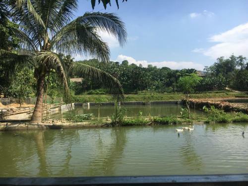 Vu Linh Homestay