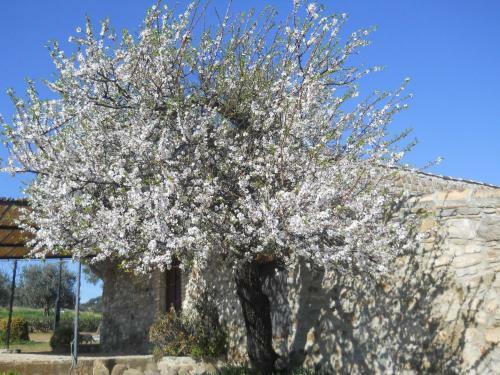 Agroturismo Masseria Cielogreco