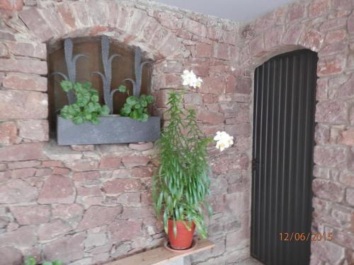 Apartamento Cal Peret
