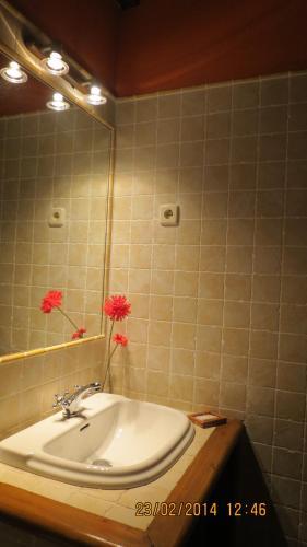 Apartamentos Tur�sticos Reserva De La Biosfera