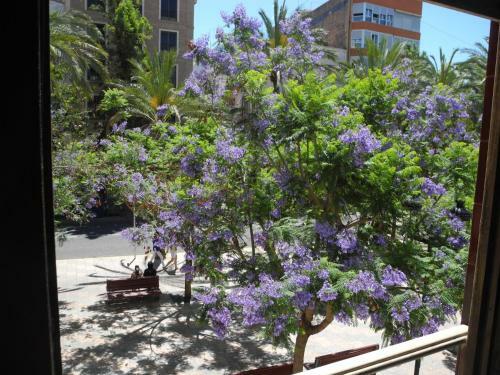 Apartamento Valencia