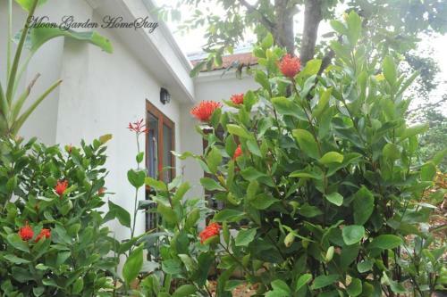 Moon Garden Homestay