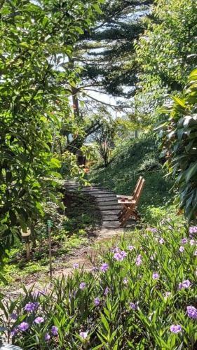Agroturismo Blao House