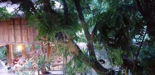 Linh Soi Homestay