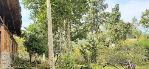 Sa House Bac Ha
