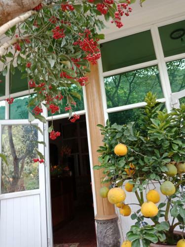 Cuc Phuong Hao Tham Homestay Hotel