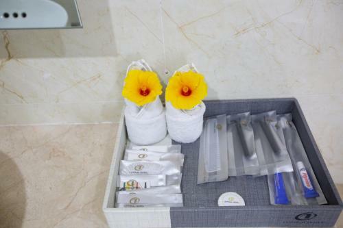 Central Hotel Thanh Hoa