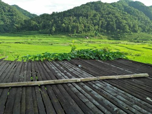 Minh Khang Homestay Ban Gioc
