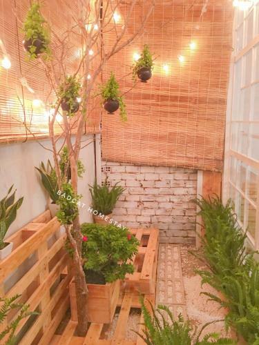 Apartamento Bigdog Homestay