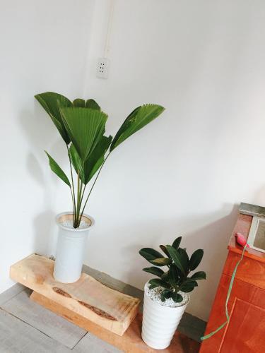Apartamento Bigdog Homestay