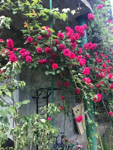 Hostal Domik U Reki