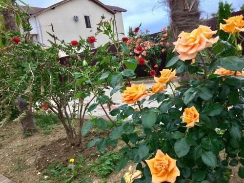 Hostal Uyut Guest House
