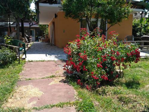 Hostal Guest House Kamiennyi Dvorik