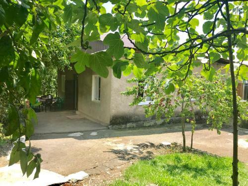 Guest-house Elona