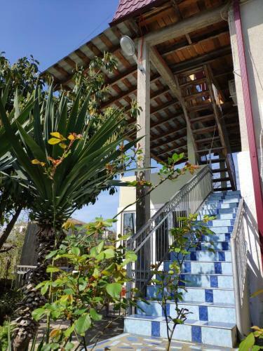 Hostal Guest House Anna