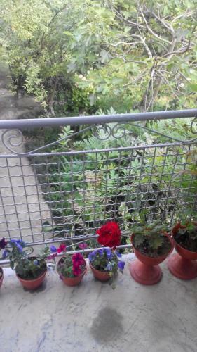 Hostal U Morya Guest House