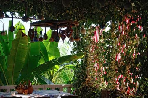 Hostal El Platano