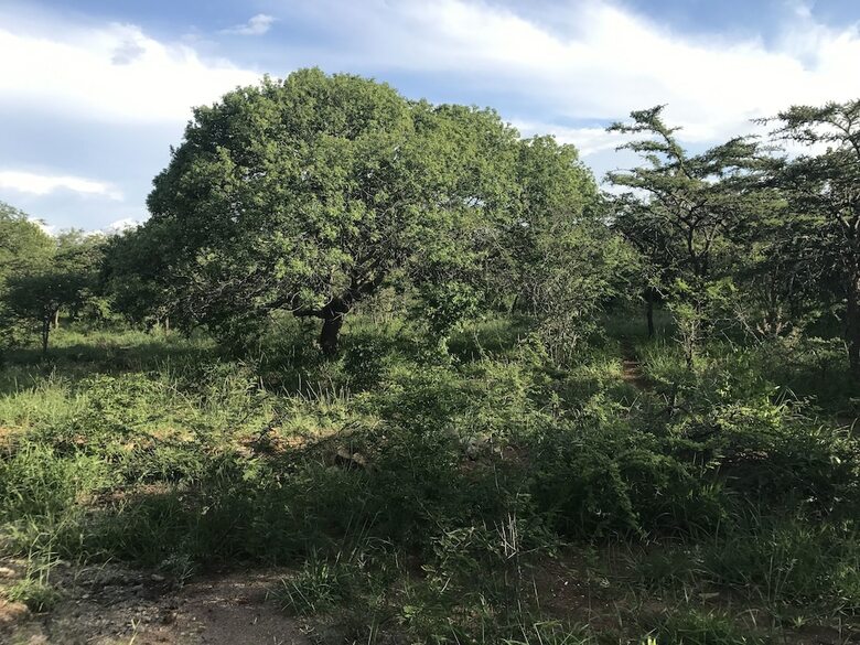 Agroturismo Our Place