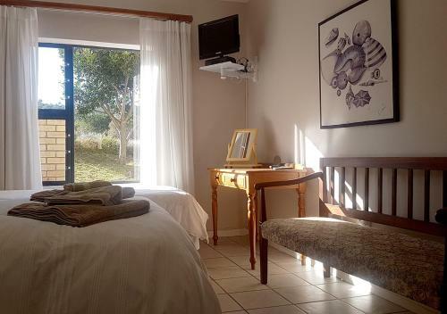 Bed & Breakfast Dream @ Dolphins
