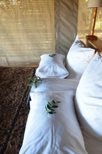 Hotel Thulani Game Lodge & Eco Estate