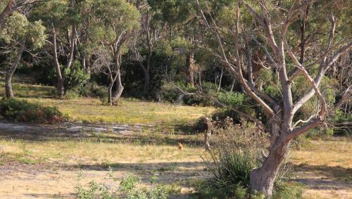 Bay Of Fires Seachange