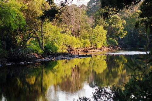 Apartamento Forth River Cottage