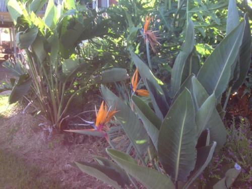 Bed & Breakfast Riverside Farm Retreat Bnb