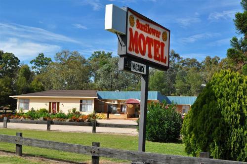 Sunflower Motel